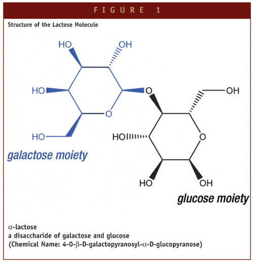 lactose molecule
