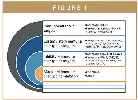 CTLA4 as Immunological Checkpoint in the Development of Multiple