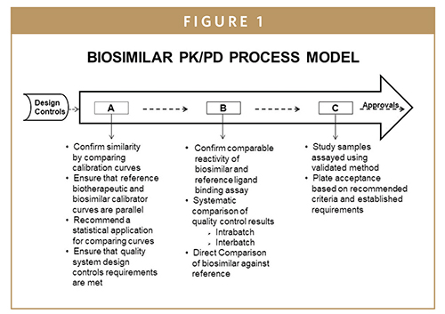 The Tortoise And The Hare: Evolving Regulatory Landscapes