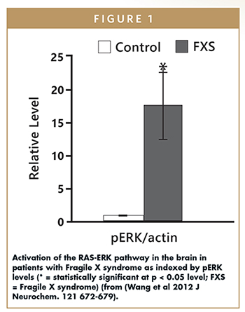 Activation of the RAS-ERK pathway in the brain in patients with Fragile X syndrome as indexed by pERK levels (* = statistically significant at p < 0.05 level; FXS = Fragile X syndrome) (from (Wang et al 2012 J Neurochem. 121 672-679).