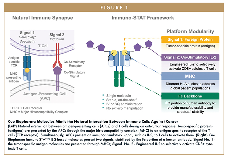 Targeted Oncology Therapies - Harnessing Nature’s “cues” To Selectively 