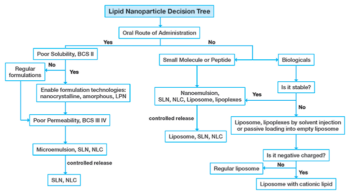 Decision tree for selecting the lipid nanoparticles.