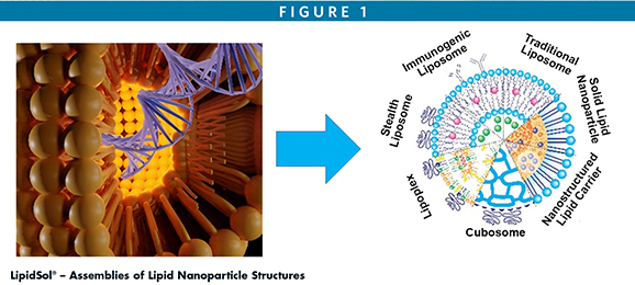 LipidSol® – Assemblies of Lipid Nanoparticle Structures