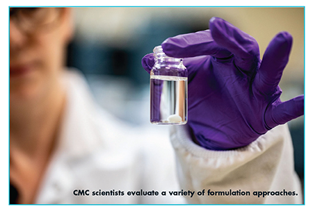 CMC scientists evaluate a variety of formulation approaches.