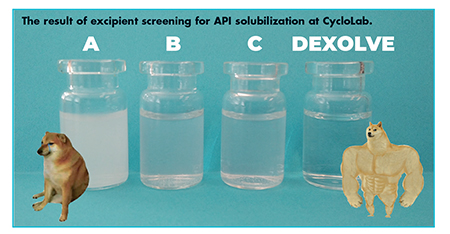 The result of excipient screening for API solubilization at CycloLab.