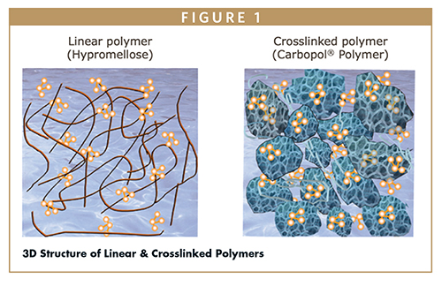 3D Structure of Linear & Crosslinked Polymers