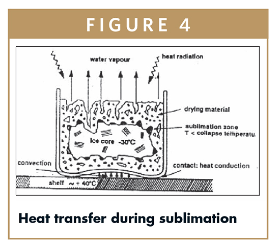 Lyophilization: cycle robustness and process tolerances, transfer