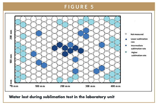 Lyophilization: cycle robustness and process tolerances, transfer